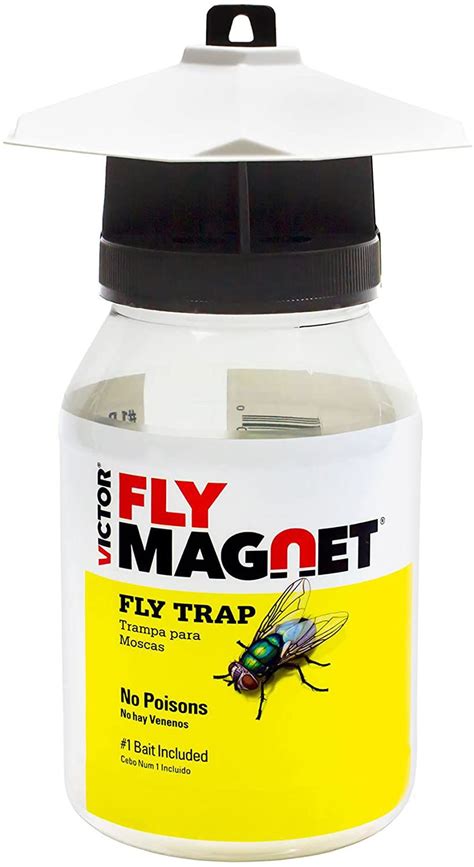 The 7 Best Fly Traps Of 2023 By The Spruce