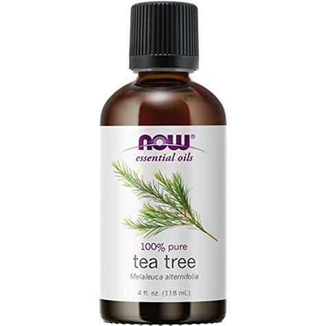 15 Best Tea Tree Oil Reviews Benefits And Uses