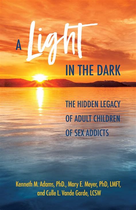A Light In The Dark Book By Kenneth M Adams Mary E Meyer Culle L Vande Garde Stefanie