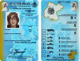 Mexican Driver''s License Pictures