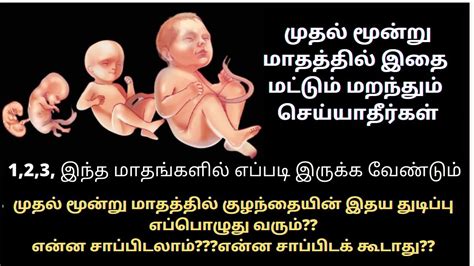 First 3 Months Of Pregnancy In Tamil First Month Of Pregnancy Second Month Of Pregnancy In