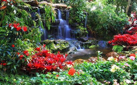 A flower garden or floral garden is any garden where flowers are grown and displayed. Red flowers at the waterfall wallpapers and images ...