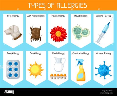 Types Of Allergies Background With Allergens And Symbols Vector Stock