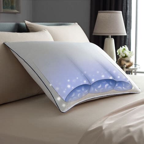 Is there a thread somewhere to make requests for products? Side by Side Firm Pillow - Pacific Coast Bedding
