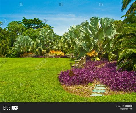 Colorful Tropical Image And Photo Free Trial Bigstock
