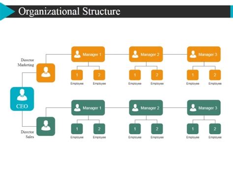 Organizational Structure Ppt Powerpoint Presentation Layouts Portrait