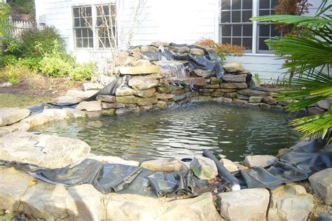 This will depend on the size and depth of the pond, if you. Koi Pond