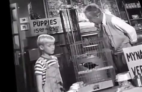 Dennis The Menace S02 E25 Video Dailymotion