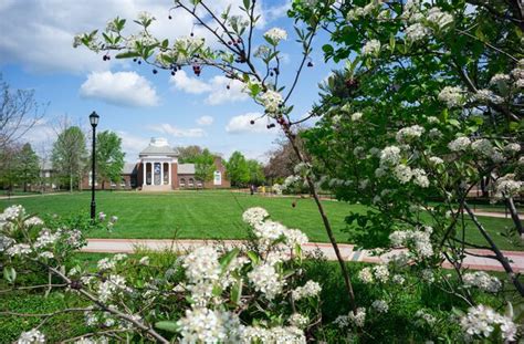 University Of Delaware Profile Rankings And Data Us News Best Colleges