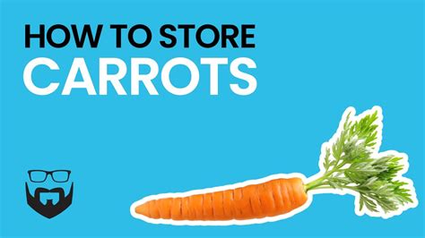How To Store Carrots Youtube