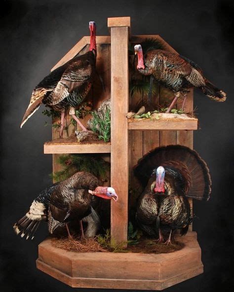 100 Turkey Mounts Ideas Turkey Mounts Taxidermy Display Turkey Hunting