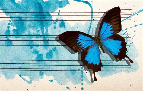 Ulysses Blue Butterfly And Notes Butterfly Melody Photo Of Old Music