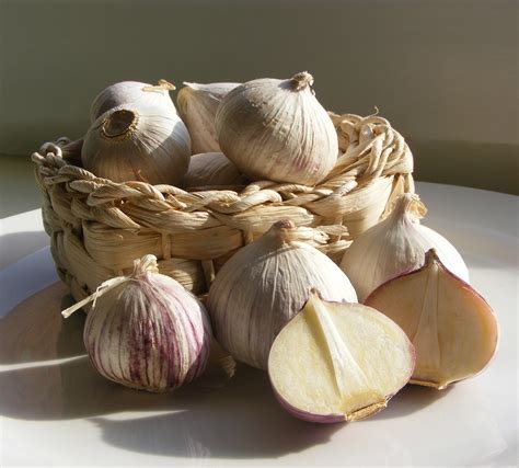Picture Of A Clove Of Garlic Single Clove Garlic At Rs 40 Kilogram