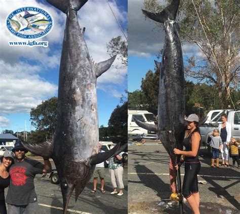 International Fishing News Australia Caught A Record Size Giant Swordfish