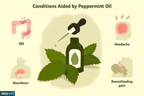 Peppermint Oil Uses Benefits Side Effects Dosage Precautions