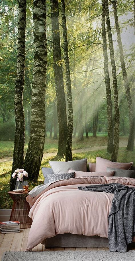 Let The Sun In On Your Room With A Peaceful Forest Wallpaper To