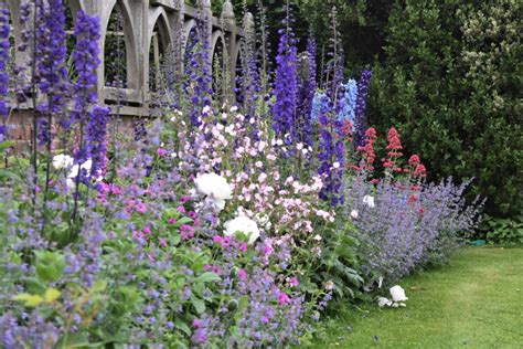 10 Summers Flowers For A Stunning Garden