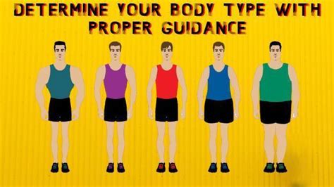 Determine Your Body Type With Proper Guidance Body Fitness Zone