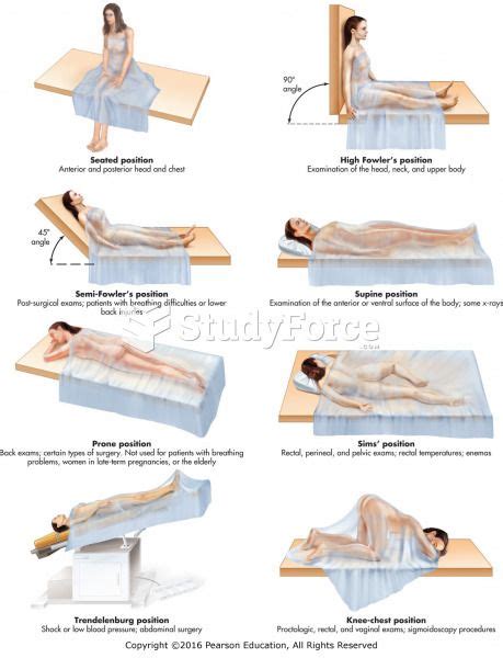 Medical Positions Of The Body