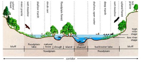 Cross Section Of A River Corridor The Main Components Of The River