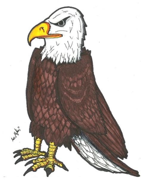 American Bald Eagle By M Crackaz Nature Cartoon Toonpool