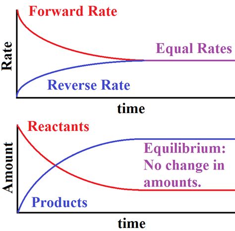 In theory, all chemical reactions are in fact double reactions: What determines when a system reaches equilibrium? What ...