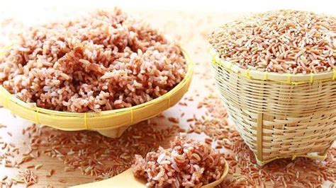 Pilih susu formula yang tepat sehingga tidak memicu sembelit, jika bayi terpaksa diberi susu formula. Beras Merah Ampuh Atasi Sembelit Pada Bayi Loh Moms, Ini ...