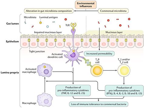 Emerging Treatments For Inflammatory Bowel Disease Karl Hazel