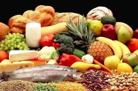 ¿qué Es Nutriente Su Definición Y Significado 2020