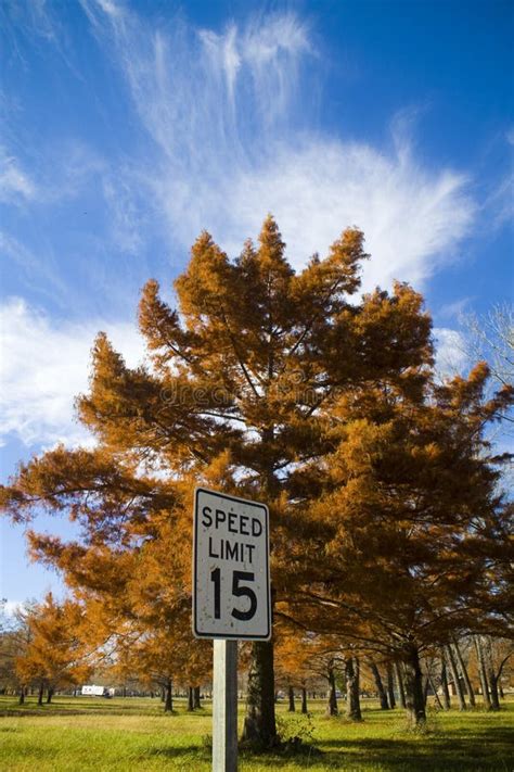 Fall In Kansas Stock Image Image Of Falling Tree Speed 13308129
