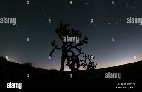 Mojave Desert Nighttime Time Lapse With A Starry Sky Beyond The