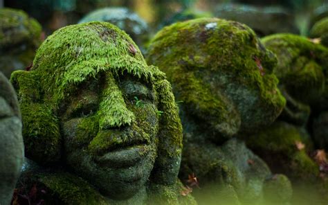 Face Stones Moss Sculpture Hd Wallpapers Desktop And Mobile Images
