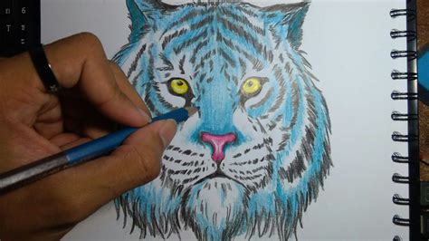 Https://tommynaija.com/draw/how To Draw A Blue Tiger
