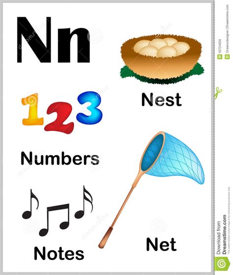 Cute Words Starting With N Letter Words Unleashed Exploring The