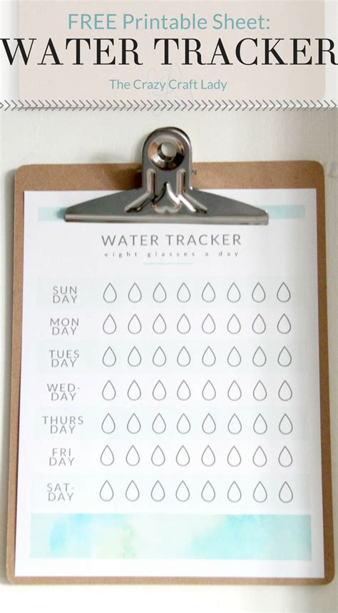 Printable Water Tracker In 2020 Bullet Journal Water Tracker Bullet