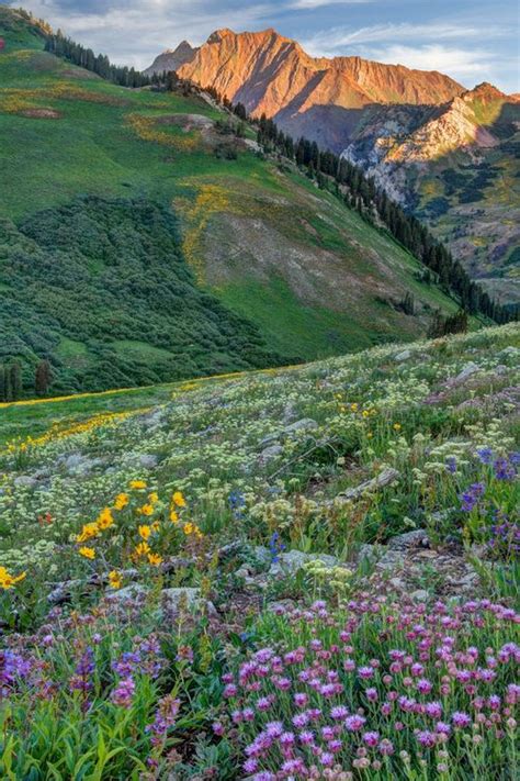 Wasatch Mountains Of Utah By Utah Images Douglas Pulsipher Travel