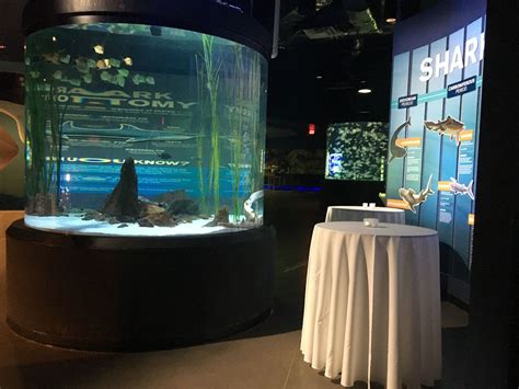 Odysea Aquarium Scottsdale Az Wedding Venue