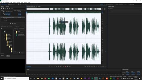 Editor Panel In Detail Introduction Of Adobe Audition Cc Audio