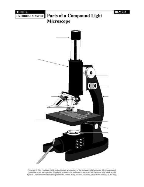 Compound Light Microscope Diagram Blank Micropedia