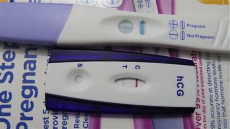 Pregnancy Test Prank Turn Out Positiveshocking Result Must Watch