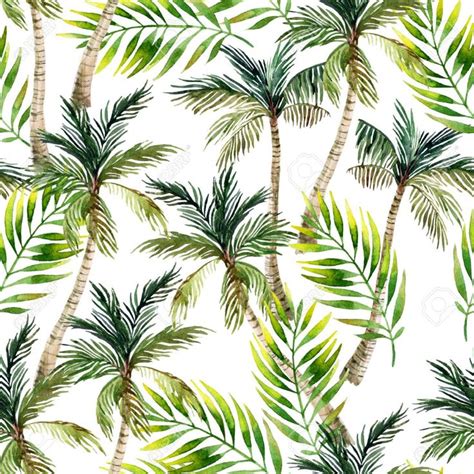 Watercolor Palm Trees On White Background Royalty Photo Image 349874