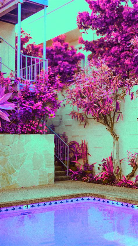Pool Day Nature Outdoors Graphy Plants Psicodelia Retrowave Surreal Synthwave Hd Phone
