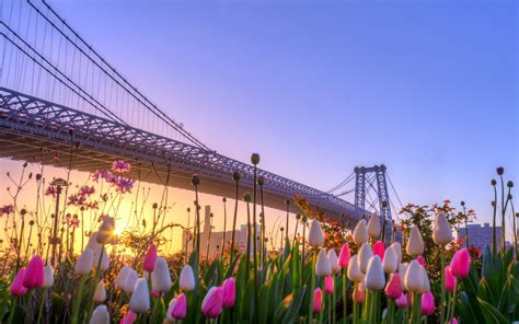 New York Spring Wallpapers Wallpaper Cave