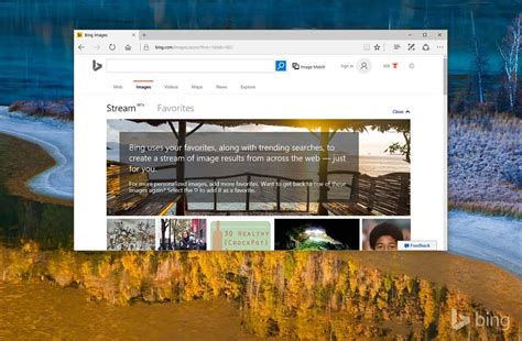 Bing Image Stream Enters Beta Shows Trending Searches In A Stream Of