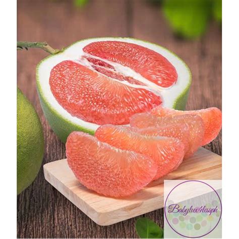 Red Chandler Pomelo Suha Seeds 3 Pcs Shopee Philippines