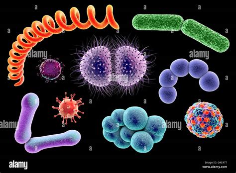 Les Microbes Illustration Dordinateur Dun Mélange Contenant Des