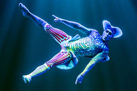 From Ipswich Pcyc To Cirque Du Soleil Trampolinist Ipswich First
