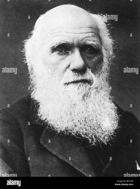 Charles Darwin Evolution Theory Hi Res Stock Photography And Images Alamy