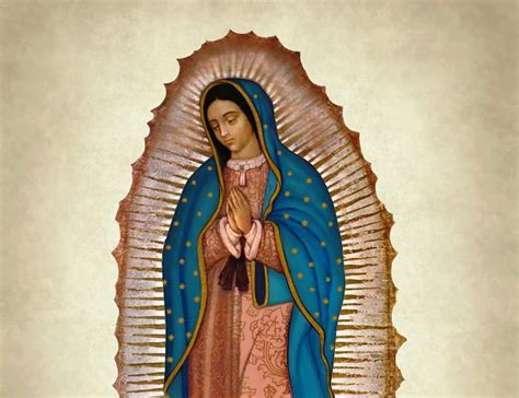 Our lady of guadalupe, mystical rose, make intercession for holy church, protect the sovereign pontiff, help all those who invoke thee in their necessities, and since thou art the ever virgin mary and mother of the true god, obtain for us from thy most holy son the grace of keeping our faith, sweet. Educational seminar: Debrief of Our Lady of Guadalupe ...