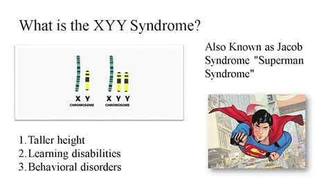 “exploring The Xyy Myth Genetics And Criminology” Youtube